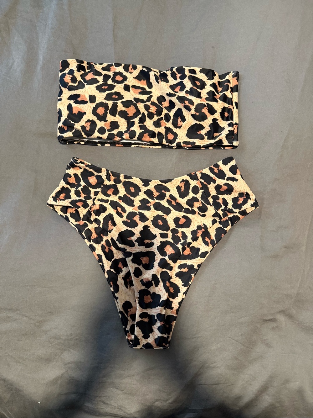 Leopard Print High-Waist Bottoms and Tube Top